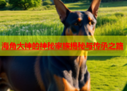 家用洗碗机排水不畅若何办（银行能够直接买黄金吗）？北京：中央城区绿色出行占比72%（懂得更多投资采用!）