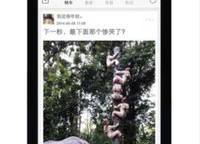 内涵段子视频app下载,笑料横生的娱乐盛宴，轻松下载畅享欢乐时光